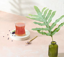 Carica l'immagine nel visualizzatore di Gallery, Immune Booster Integratore Alimentare gusto Ribes Nero 21 bustine