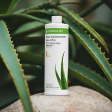 Carica l'immagine nel visualizzatore di Gallery, Aloe concentrato alle erbe gusto Mango 473 ml
